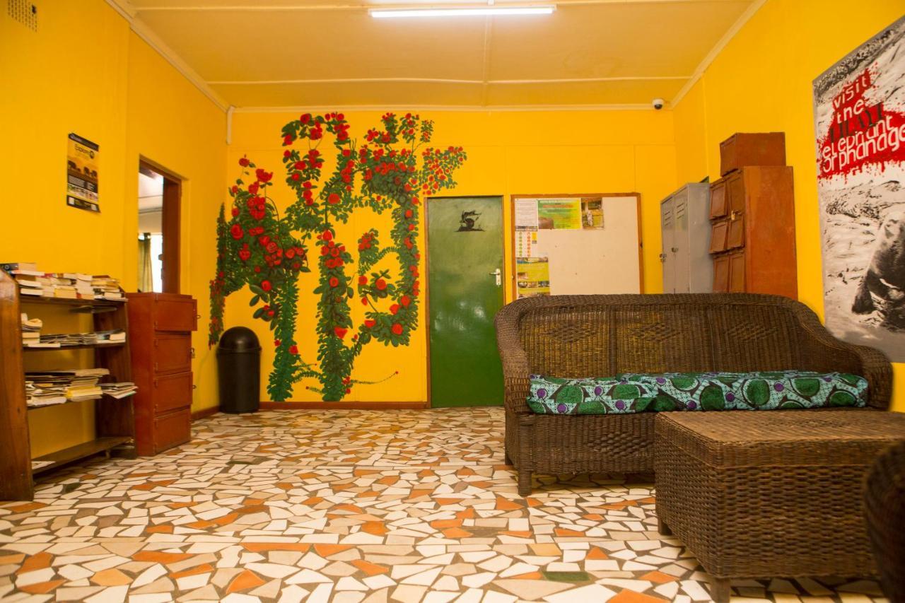 بيت شباب Lusaka Backpackers المظهر الخارجي الصورة